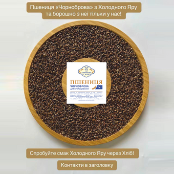 &laquo;ЧЕРНОБРОВАЯ&raquo; ПШЕНИЦА ДЛЯ ПРОРАЩИВАНИЯ 0,5 кг ЧПДП фото